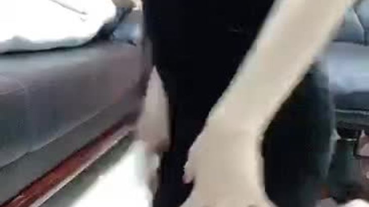 【易直播九尾狐】粉丝微信群福利大合集 42