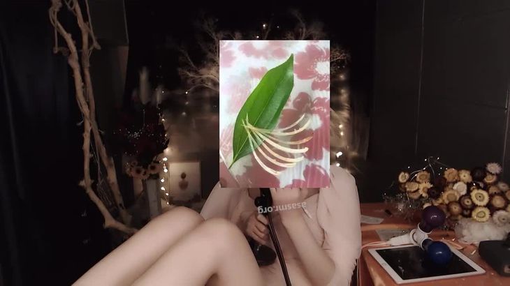 【小太阳贼大】ASMR魔法书福利7部 2