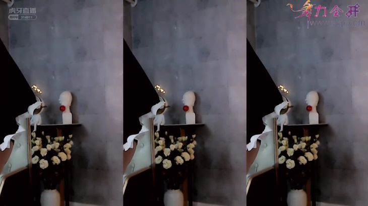 【虎牙猫崽崽三分糖】主人的女仆装