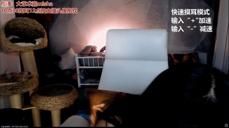 【斗鱼大艺术嘉】ASMR快速摸耳