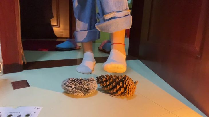 【抖音六六】助眠哄睡ASMR视频集 70