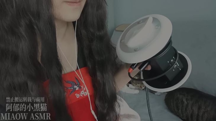 【阿郁的小黑猫】经典ASMR助眠视频合集 13