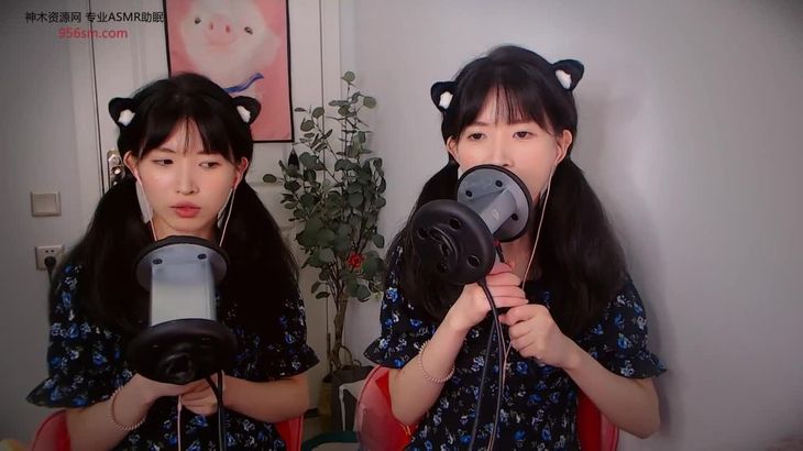 【芝麻对辣】助眠哄睡减压ASMR 23