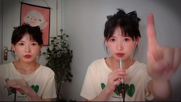 【芝麻对辣】助眠哄睡减压ASMR 17