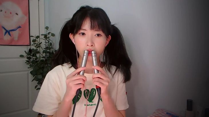 【芝麻对辣】助眠哄睡减压ASMR 8