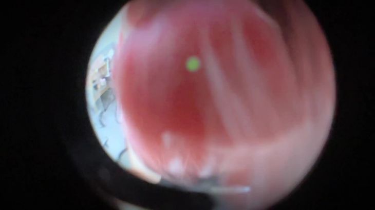 【晚安yoyo】ASMR口腔音舔耳身心放缓舒适助眠视频集 85