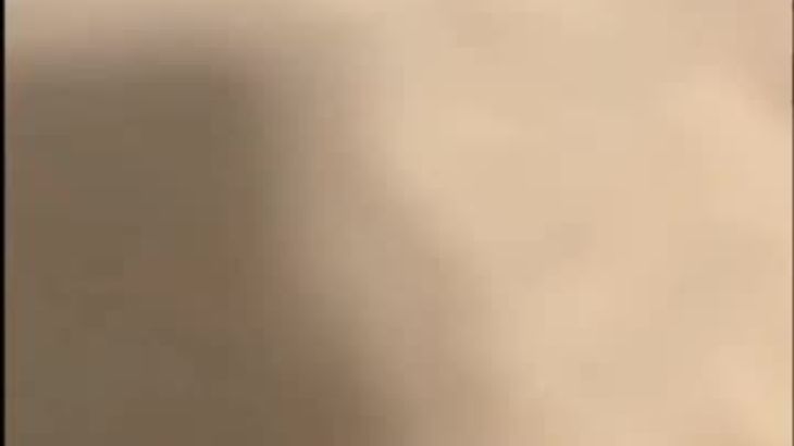 【轩子巨二兔】特殊视脚助眠合集 7