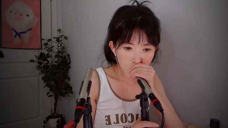 【芝麻对辣】助眠哄睡减压ASMR 9