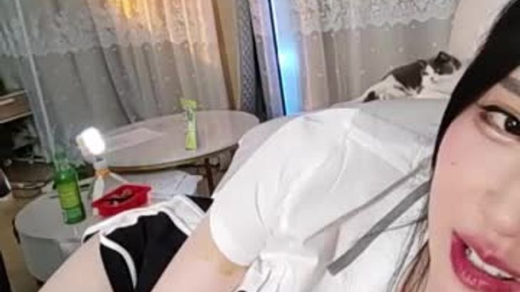 【轩子巨二兔】特殊视脚助眠合集 51