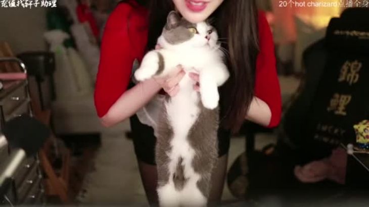 【轩子巨二兔】特殊视脚助眠合集 16