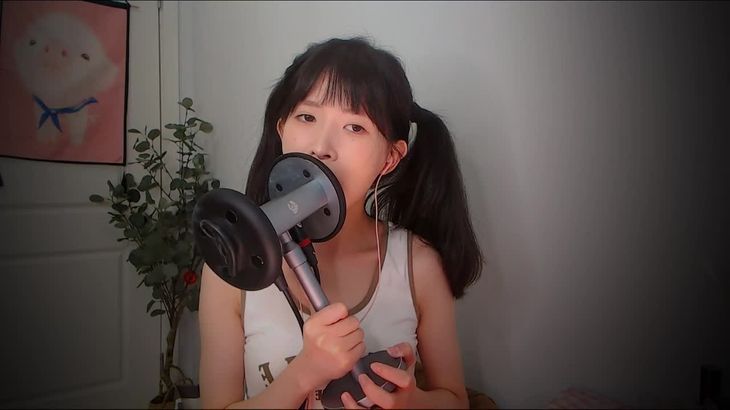 【芝麻对辣】助眠哄睡减压ASMR 19