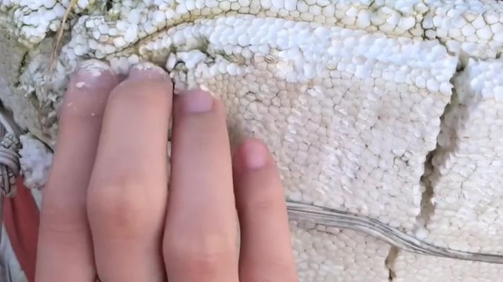 【抖音六六】助眠哄睡ASMR视频集 43