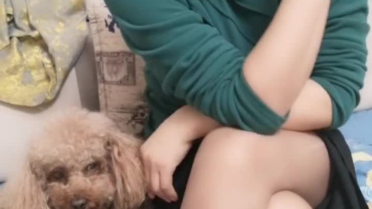 易直播各种丝姬小姐姐录屏福利 7