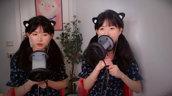 【芝麻对辣】助眠哄睡减压ASMR 18