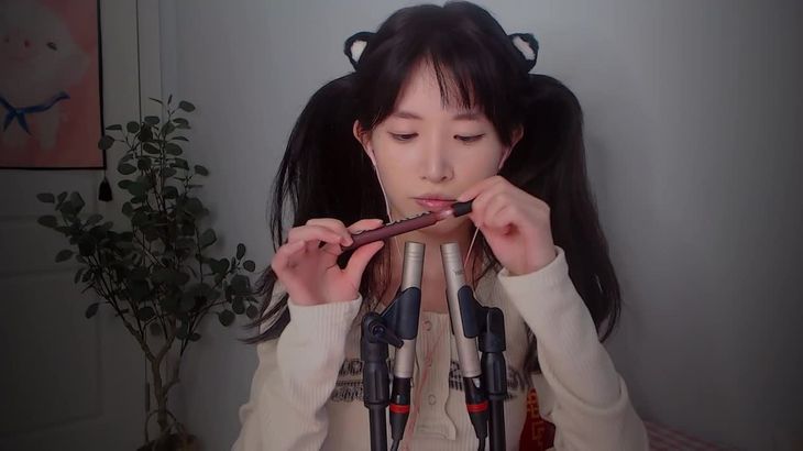 【芝麻对辣】助眠哄睡减压ASMR 24