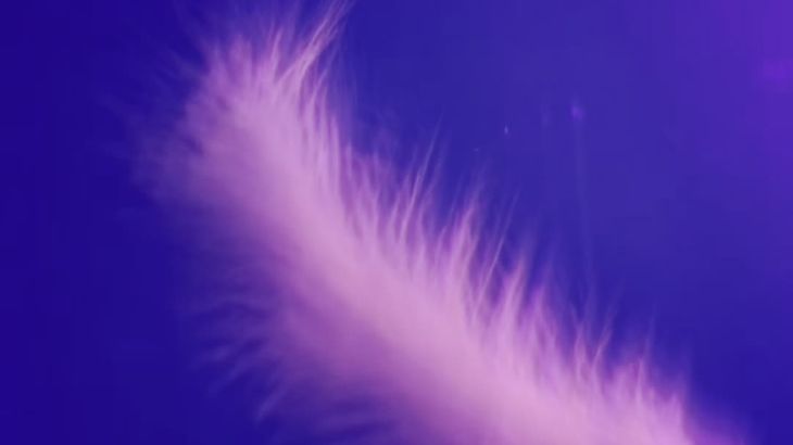 【娜娜SweetASMR】高质量助眠主播2023哄睡合集视频合集 54