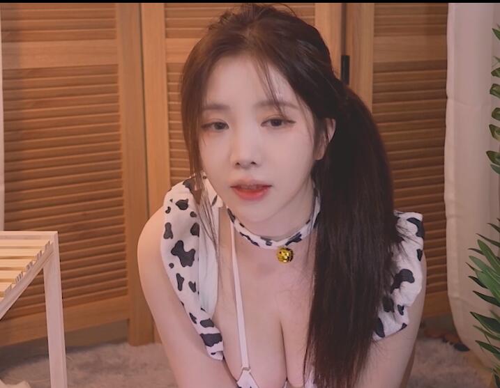 Yoon ying ASMR 动物酒店服务.