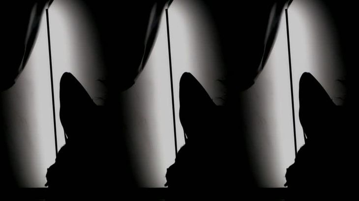 【斗鱼小幼熙】高颜值极品尤物 飞机群福利舞蹈! 9